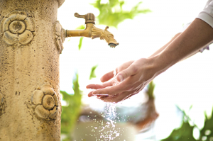 Formules de soins et Tarifs